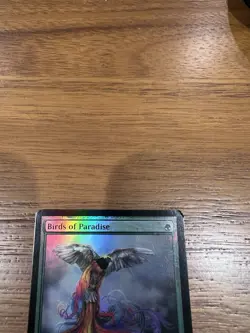 Mtg M11 Birds of Paradise Bird Promo Foil Near Mint Never Played NP - Image 4