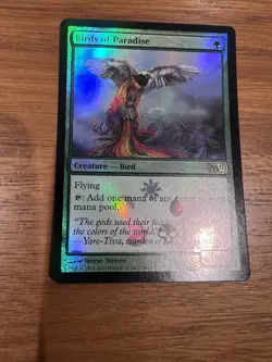 Mtg M11 Birds of Paradise Bird Promo Foil Near Mint Never Played NP - Image 5