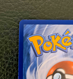Pokemon TCG Bulbasaur SWSH303 Promo Illustration Contest 2022 English - Image 3
