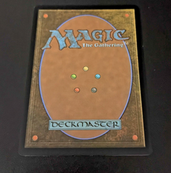 Feed the Swarm - 29 - NM- Secrets of Strixhaven MTG - Image 2
