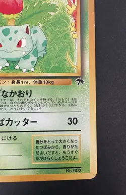 Pokemon Vintage Southern Islands Japanese Ivysaur Rare Promo - Image 4