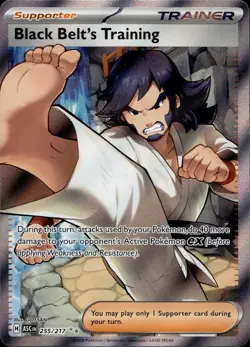 Black Belt's Training 255/217 NM/M Ultra Rare Ascended Heroes Pokemon Holo - Image 1