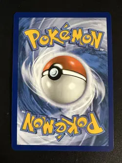 Bidoof GG29/GG70 Pokemon Crown Zenith Galarian Gallery Holo Rare NM - Image 2