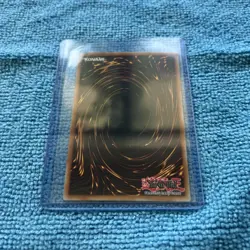 7 Colored Fish SD4-EN002!Yu-Gi-Oh! Non-Holofoil Rare 1st Edition LP - Image 2
