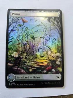 MTG - FOIL Plains Full Art - Bloomburrow - #263 - Image 1