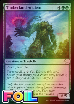 x1 Timberland Ancient MOM MTG 0210 FOIL COMMON M/NM 1x - Image 1