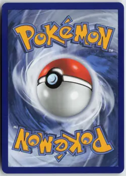 Litten 044 Holo Promo ME: Mega Evolution Promo Pokemon Near Mint - Image 2