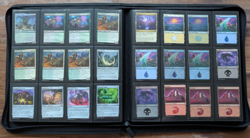 Magic The Gathering - Two Binder Collection (840 Cards - Read Description) - Image 4
