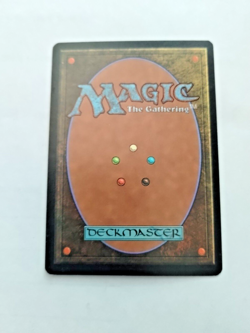 MTG Quirion Trailblazer Invasion 205/350 Regular Common - Uncirculated - Image 3