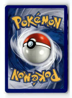 Misty's Seel 091/132 Common Gym Challenge 1st Edition Pokemon NM - Image 2