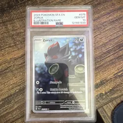 Pokemon Zorua SV Shrouded Fable 075/064 Illustration Rare Holo EN PSA 10 - Image 1
