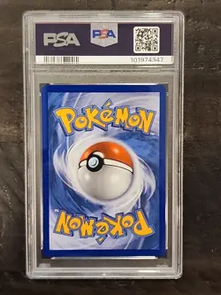 2019 Pokemon Squirtle Holo - Blastoise GX Premium Collection 33/214 PSA 8 - Image 2