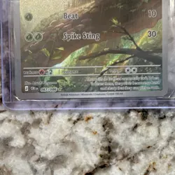 The Pokemon Company Chespin 087/086 Chaos Rising Secret Rare Holo EN 70HP CRI - Image 4
