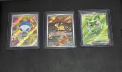 Pokemon - Ascended Hero’s Lot- Marill, Numel, Sprigatito - Image 1