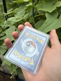 2026 Pokemon Gold Mega Darkrai Ex Hyper Rare 120/084 Pitch Black - Image 5