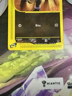 Houndour - 113/165 Expedition Base Set - Pokemon TCG - 2002 - Image 4