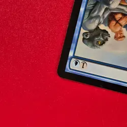 Shapesharer Lorwyn Regular NM MTG Magic The Gathering Ships FAST - Image 2