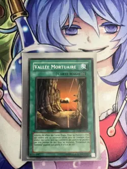 NECROVALLEY FRENCH COMMON TU02-EN014 FR014 NEAR MINT YUGIOH - Image 1