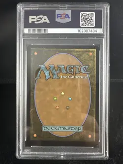 2024 MTG SECRET LAIR DROP FOIL #1672 TIM THE ENCHANTER PSA 8 - Image 2
