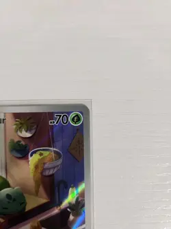 Pokemon TCG Bulbasaur Illustration Rare Holo 143/142 Sv07 Stellar Crown - Image 5