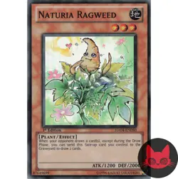 Yugioh Naturia Ragweed HA04-EN050 Super Rare 1st Edition NM - Image 1