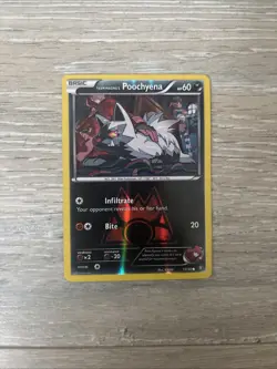 Pokemon TCG Team Magma's Poochyena 17/34 Reverse Holo Rare XY Double Crisis - Image 1
