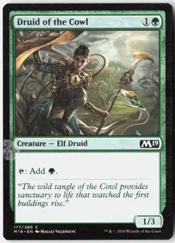 Magic Druid of the Cowl Core Set 2019 [M19 - 177] NM Common - Image 1