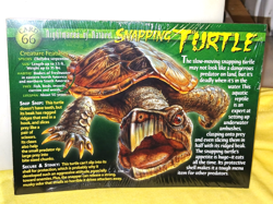 Weird N' Wild Creatures Knowledge & Trading Cards with Case & 5 Unopened Packs - Image 3