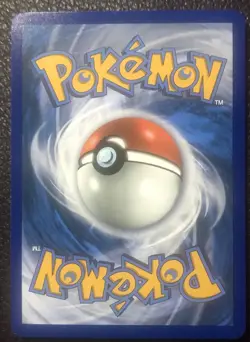 Tepig - 13/25 - Pokemon 25th Anniversary Holo Promo Pokemon TCG - Image 2