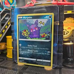 Morpeko Battle Styles Pokemon TCG 098/163 Sword & Shield SWSH05 Uncommon - Image 2