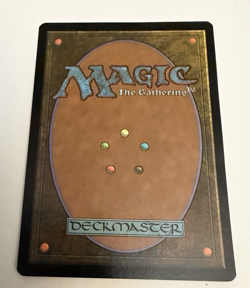 SIGNED Glen Angus Invasion Forest 350 Magic The Gathering MTG Autograph - Image 3