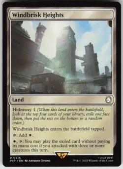 WINDBRISK HEIGHTS 315 RARE MAGIC: THE GATHERING LP - Image 1