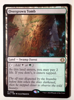 Overgrown Tomb - Magic the Gathering - R0266 ECL NM MTG - Image 1