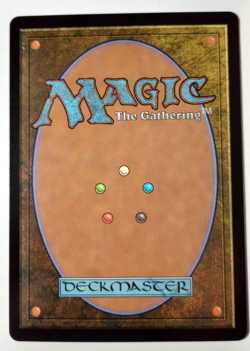 Overgrown Tomb - Magic the Gathering - R0266 ECL NM MTG - Image 2