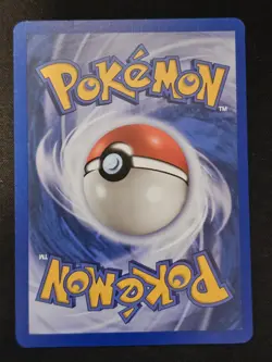 Pokemon TCG Teddiursa 109 Skyridge Near Mint (non-holo) - Image 4