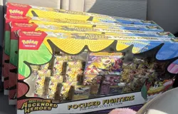 Pokemon TCG Mega Evolution Ascended Heroes Focused Fighters Premium Box (4) - Image 1