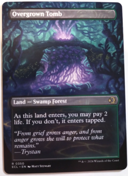 MTG Overgrown Tomb 350 Borderless Regular Lorwyn Eclipsed ECL - Image 2