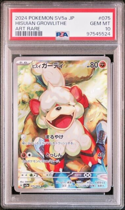 Pokemon PSA 10 Hisuian Growlithe #075 SV5a Art Rare 2024 Japanese - Image 2