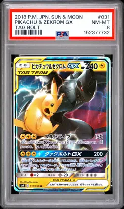 Pikachu & Zekrom GX 031/095 PSA 8 2018 Tag Bolt Pokemon Japanese - Image 1