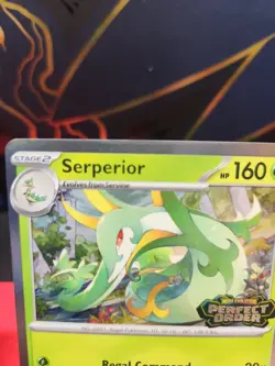 Serperior Perfect Order Stamped Promo MEP 064 Black Star Promo LP Pokemon TCG - Image 3