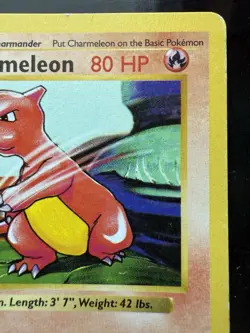Pokemon Charmeleon Base Set Shadowless 24/102 1st Edition (LP) - Image 3