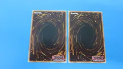 2x NIN-KEN DOG MONSTER DR1-EN164 UNLIMITED COMMON YUGIOH NM / UNPLAYED - Image 2