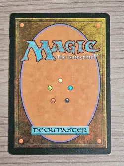 Royal Assassin -FBB 4th edition - Chinese Language -MP Condition - mtg - Image 2