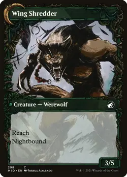 NM Foil - Bird Admirer (Showcase) [MID - 298] Innistrad: Midnight Hunt - Image 2