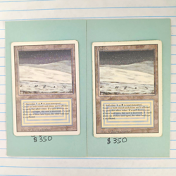 Tundra x2 Dual Land Revised Edition - Magic The Gathering English - Image 1