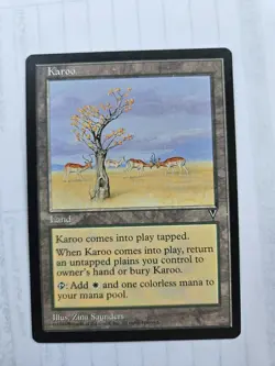 Karoo Visions LP MTG Cheap - Image 1