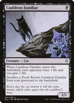 Cauldron Familiar [ELD - 81] NM - Image 1