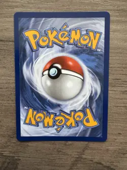 Litten MEP 044 Pokemon First Partner Illustration Black Star Promo Full Art MT - Image 3