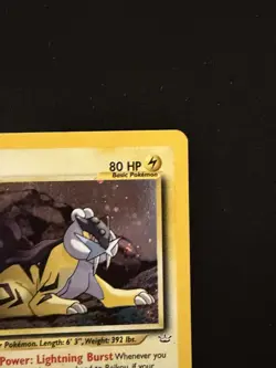Raikou Pokemon Unlimited Holo Neo Revelation 13/64 2001 SWIRL💫 - Image 3