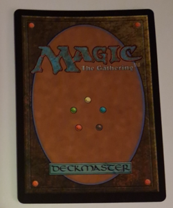 Fluttershy Foil EX Secret Lair My Little Pony MTG Magic the Gathering - Image 2